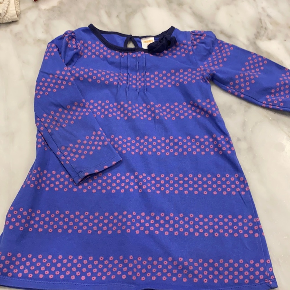 Gymboree toddler girl long sleeve tunic size 3T